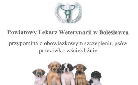 KOMUNIKAT. Powiatowy Lekarz Weterynarii w Bolesławcu przypomina o obowiązkowym szczepieniu psów przeciwko wściekliźnie.