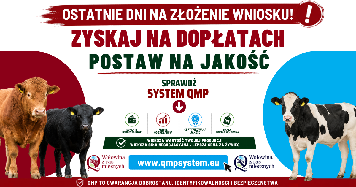 Ekoschemat „Dobrostan zwierząt” Dodatkowe pieniądze dla hodowców z QMP – tylko do 1 czerwca! AKTUALIZACJA