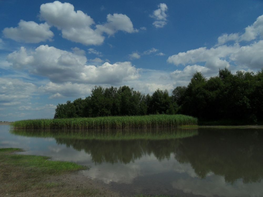 Raciborowice Dolne