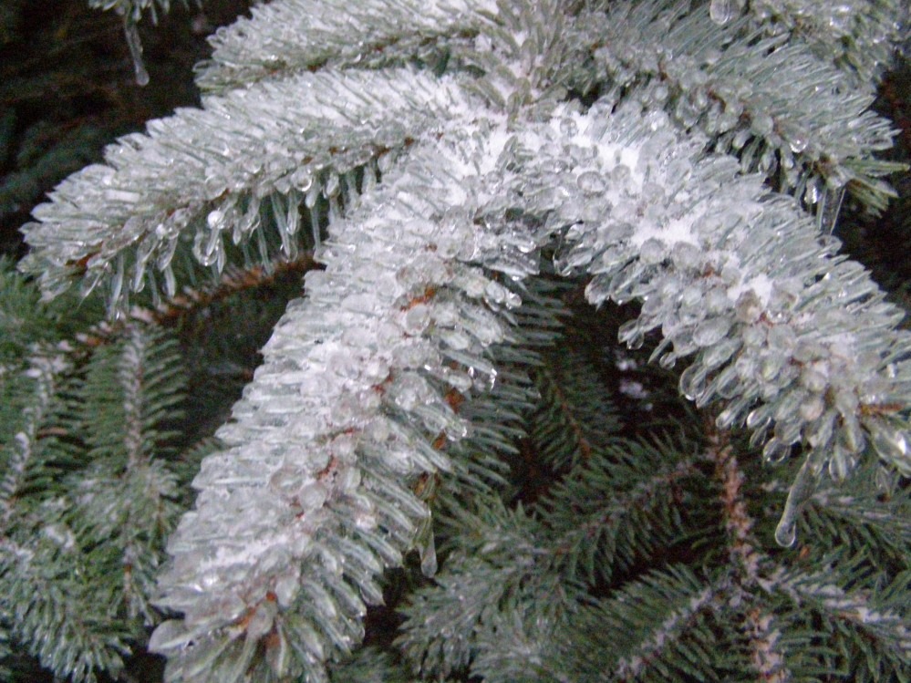 Zima 2010