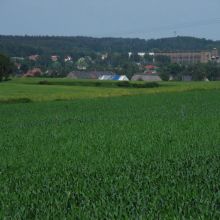 panorama