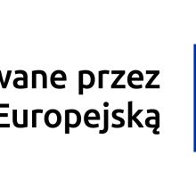 znak ue polski poziom kolor rgb