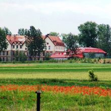 Szkoła Podstawowa